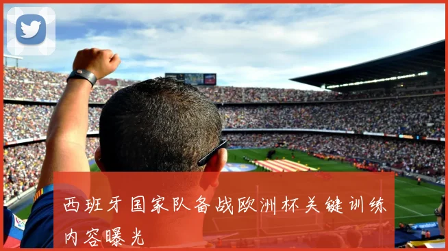 西班牙国家队备战欧洲杯关键训练内容曝光