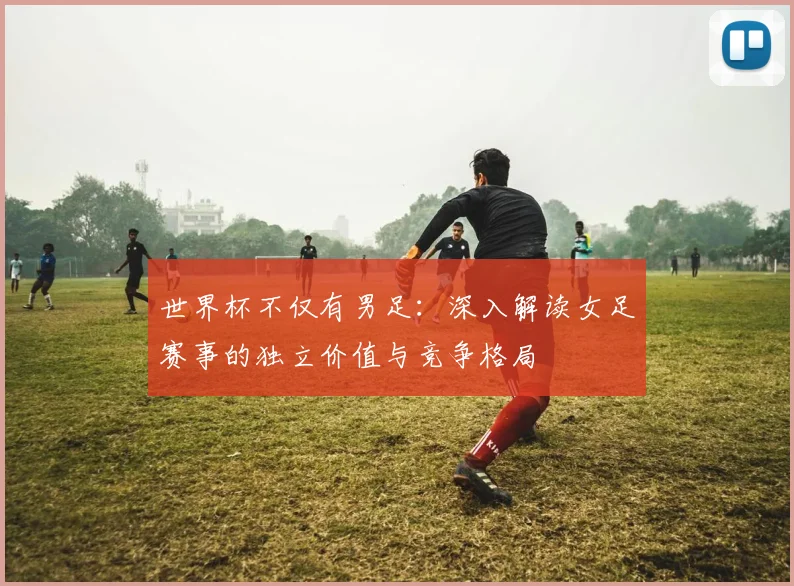 世界杯不仅有男足:深入解读女足赛事的独立价值与竞争格局