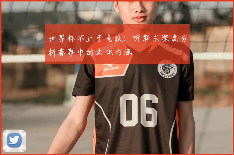 世界杯不止于竞技:听靳东深度分析赛事中的文化内涵