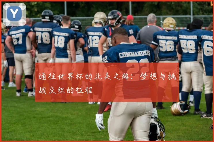 通往世界杯的北美之路：梦想与挑战交织的征程