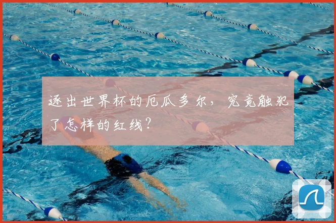 逐出世界杯的厄瓜多尔，究竟触犯了怎样的红线？