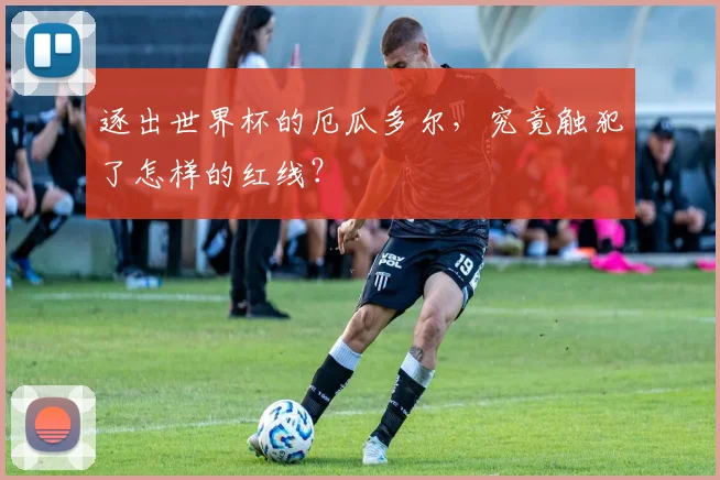 逐出世界杯的厄瓜多尔，究竟触犯了怎样的红线？