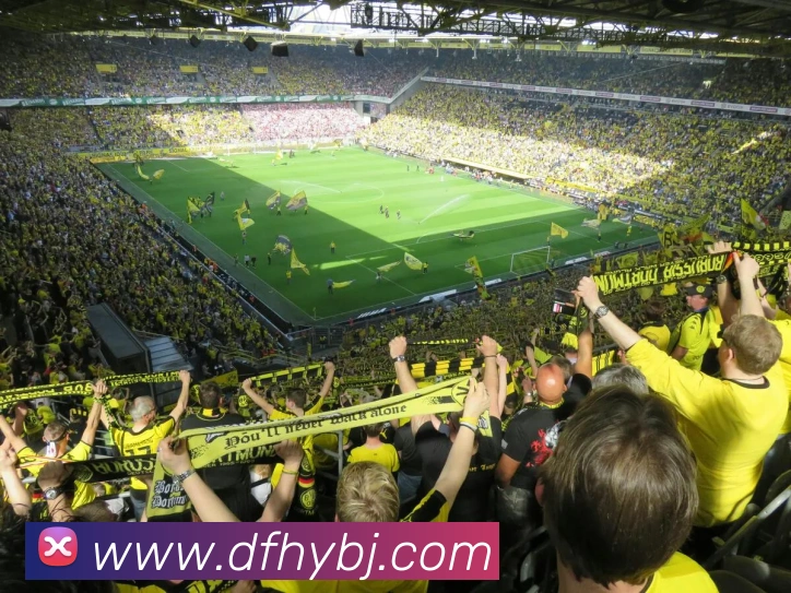 App Interface Preview